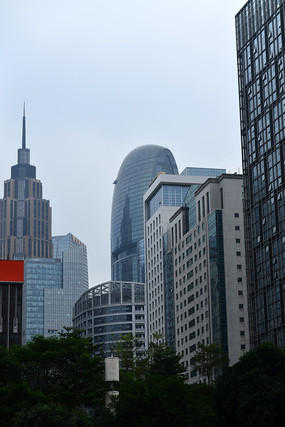 CBD���Ľ���ͼƬ