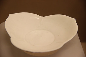 ������Թ��ֿ������