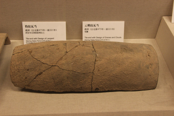 ����Ͳ��