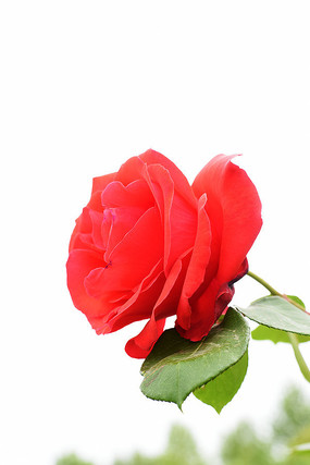 ���̺��¼�