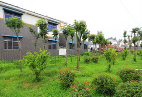 �̻�����