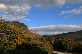 ɽ�ϰ�������