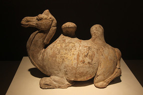 �ƴ��ʻ�������