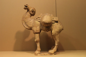 �ƴ�������������