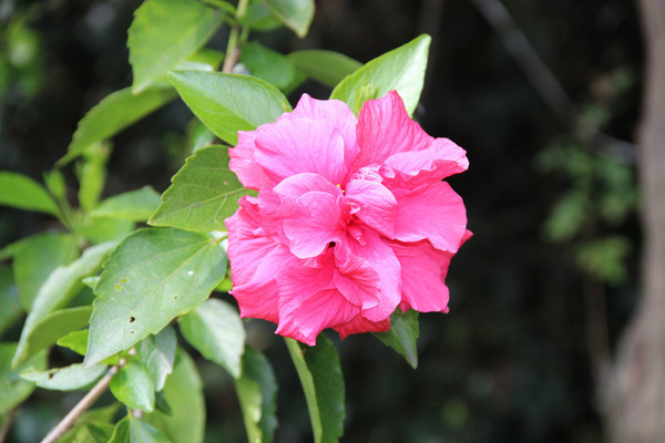 ���Ȼ�����