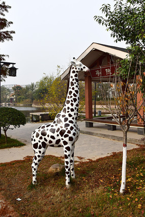 �ݵ��ϵĳ���¹