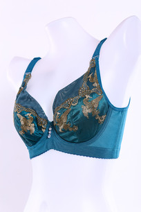 �������Ůʿ��������