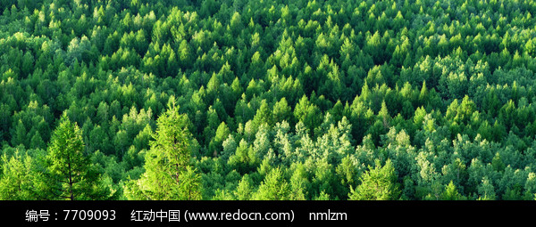 ��ɫ�ֺ�ͼƬ