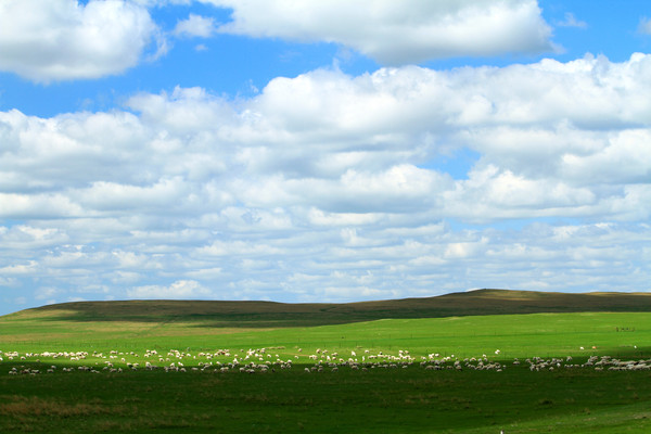 ������Ⱥ�羰