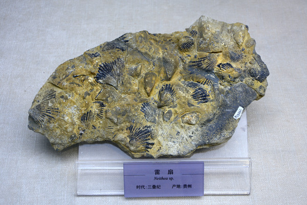 ����ʯ��