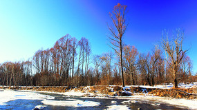 ѩ�����ַ羰