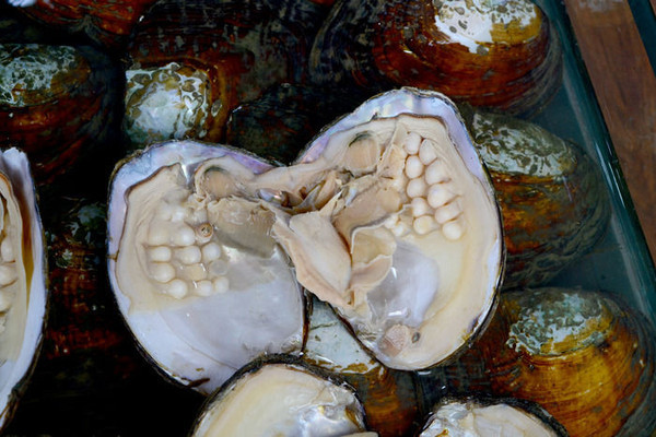 ���ǵ���