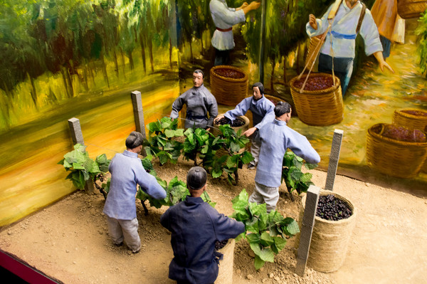 �����ѵ���