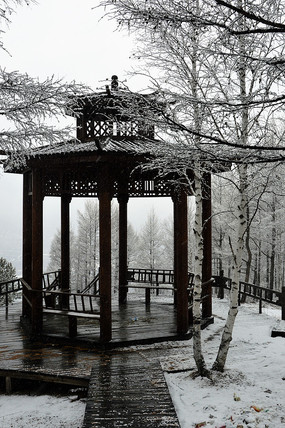 ������ͤ