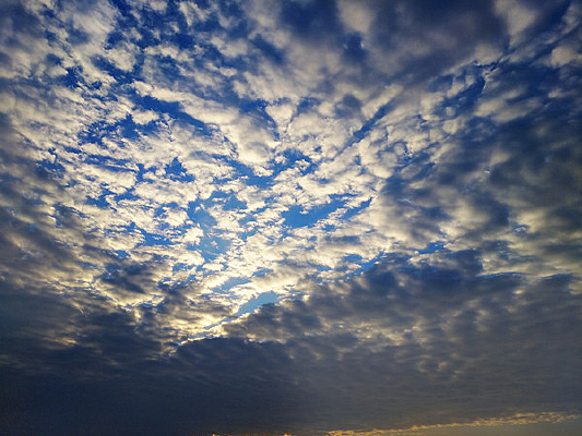 �����Ʋ�Ϧ��