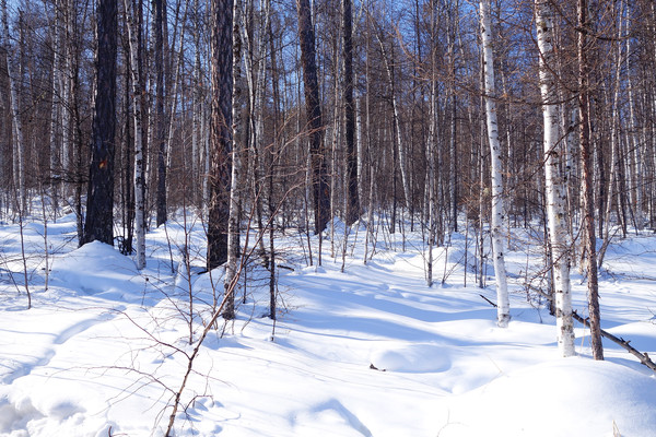 �ֺ�ѩԭ���ַ羰