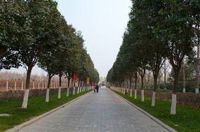 �̻����е�