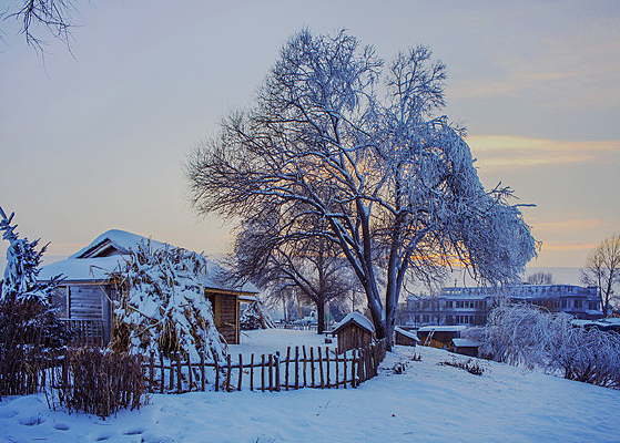 ũ�ᶬ����������ϼ��ڡ