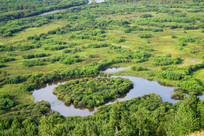 ʪ�ش��ֺ���