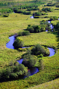 ʪ����Ȼ�������ݵ����