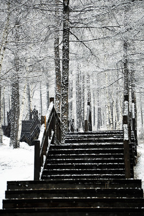 ����ջ��