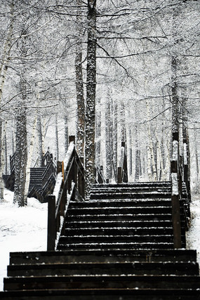 ����ջ��