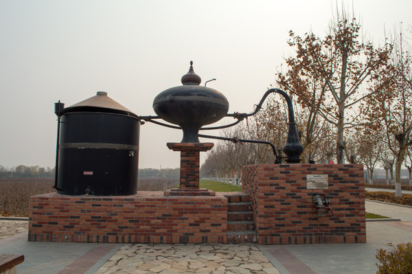 ���ɵ��������