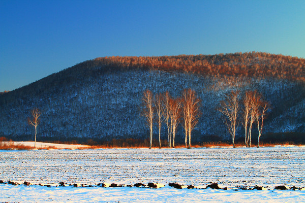 ѩ����ѩ��