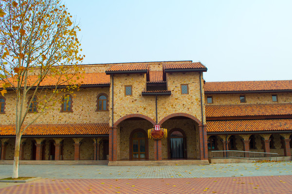 �����ʽ�����