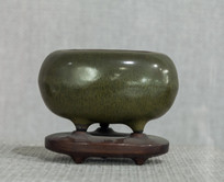 Ԫ�����㲧