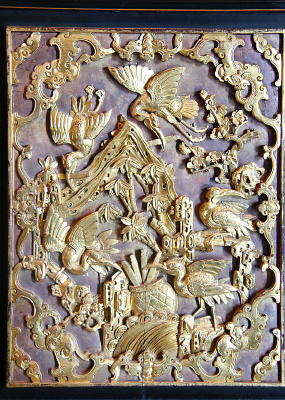 ����ľ�����ƻ��񻨰�