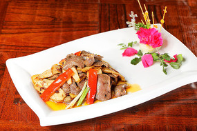 XO��������