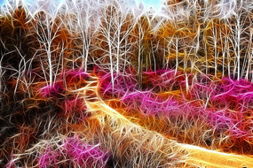 ���Ի����ž�֮·��