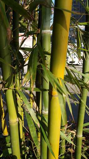 ���̵����