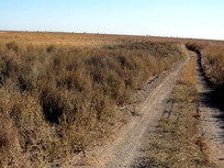 �＾��ԭ�ϵĳ���