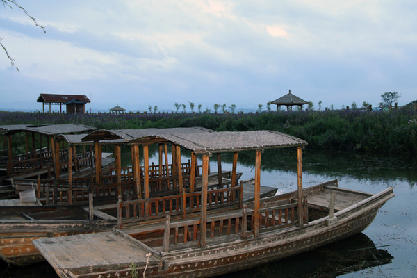 ͣ����ľ��