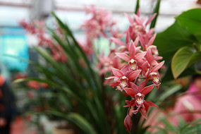 һ���������