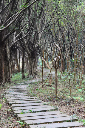 ����С��·