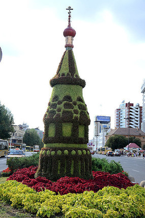 ��ֲ����