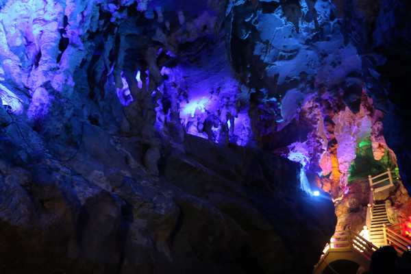 �ܶ�����