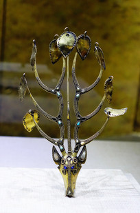 �����ï����������