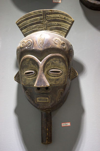 ����ľ�����