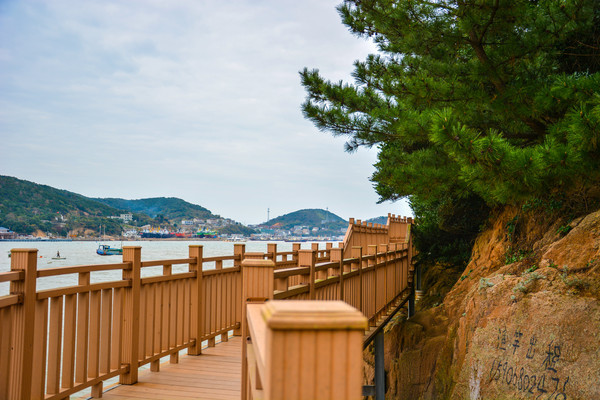 ɽ������