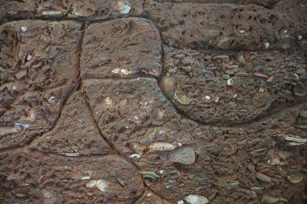 ʯǽ�����ز�