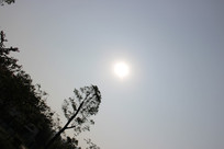 �����µ�����