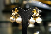 ����ƽ��׹