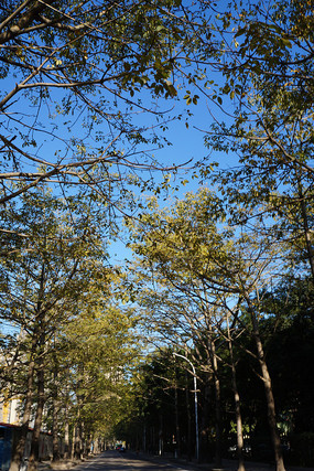 ·���ߵ���