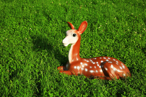 ÷��¹����