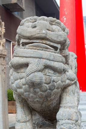 ��ǰ��ʨ��