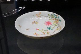 �����۲ʹ�֦������